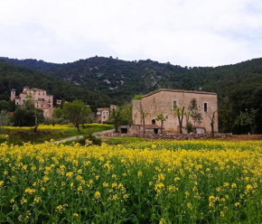 El Castell de Segueró